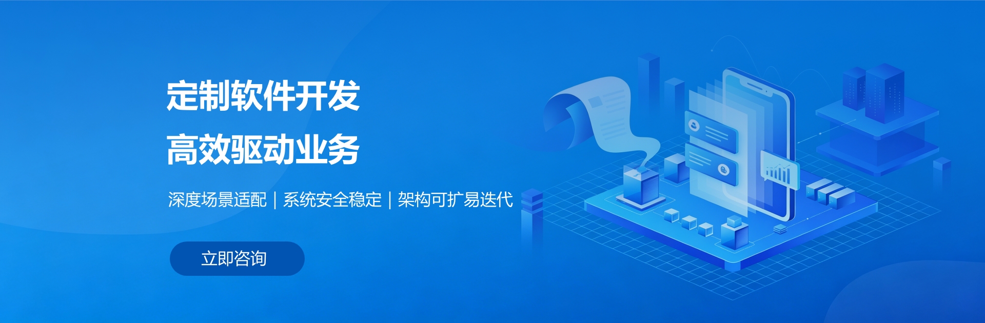 定制软件开发